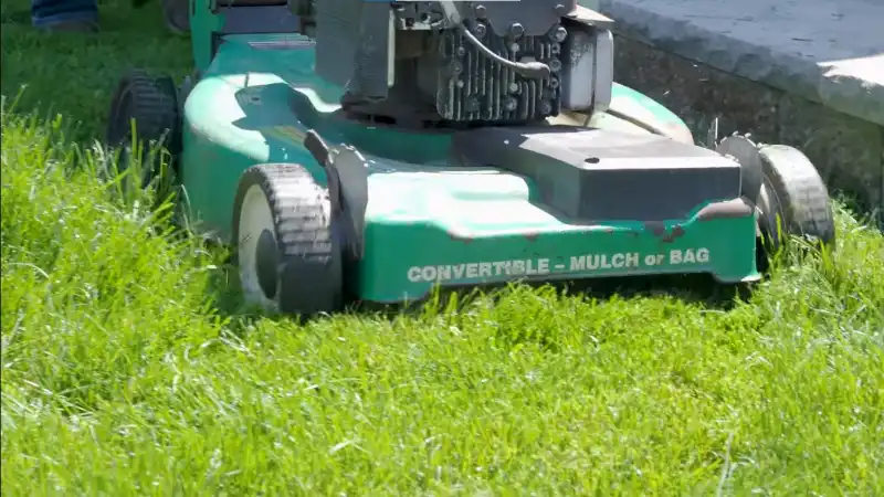 Emergency HOA lawn cleanup and restoration in Chula Vista CA