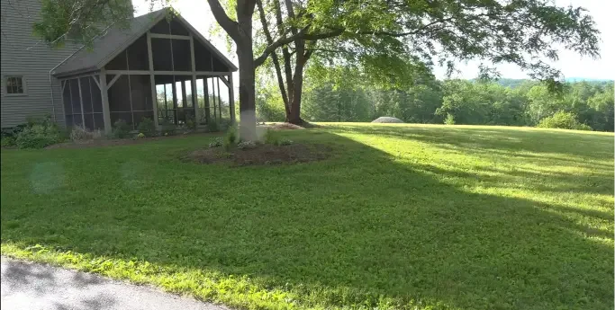 Healthy lawn after professional weed control treatment in Chula Vista