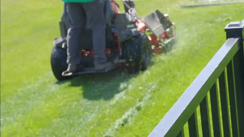 Landscaping and garden services in Chula Vista CA