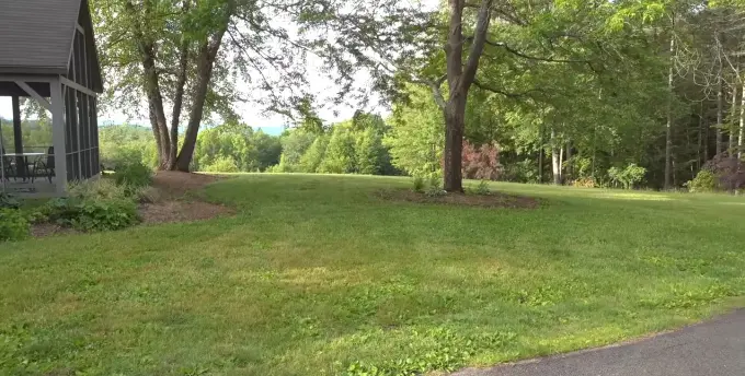 Uneven lawn conditions that contribute to weed growth in Chula Vista