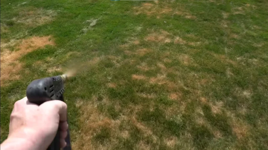 damaged lawn requiring emergency repair