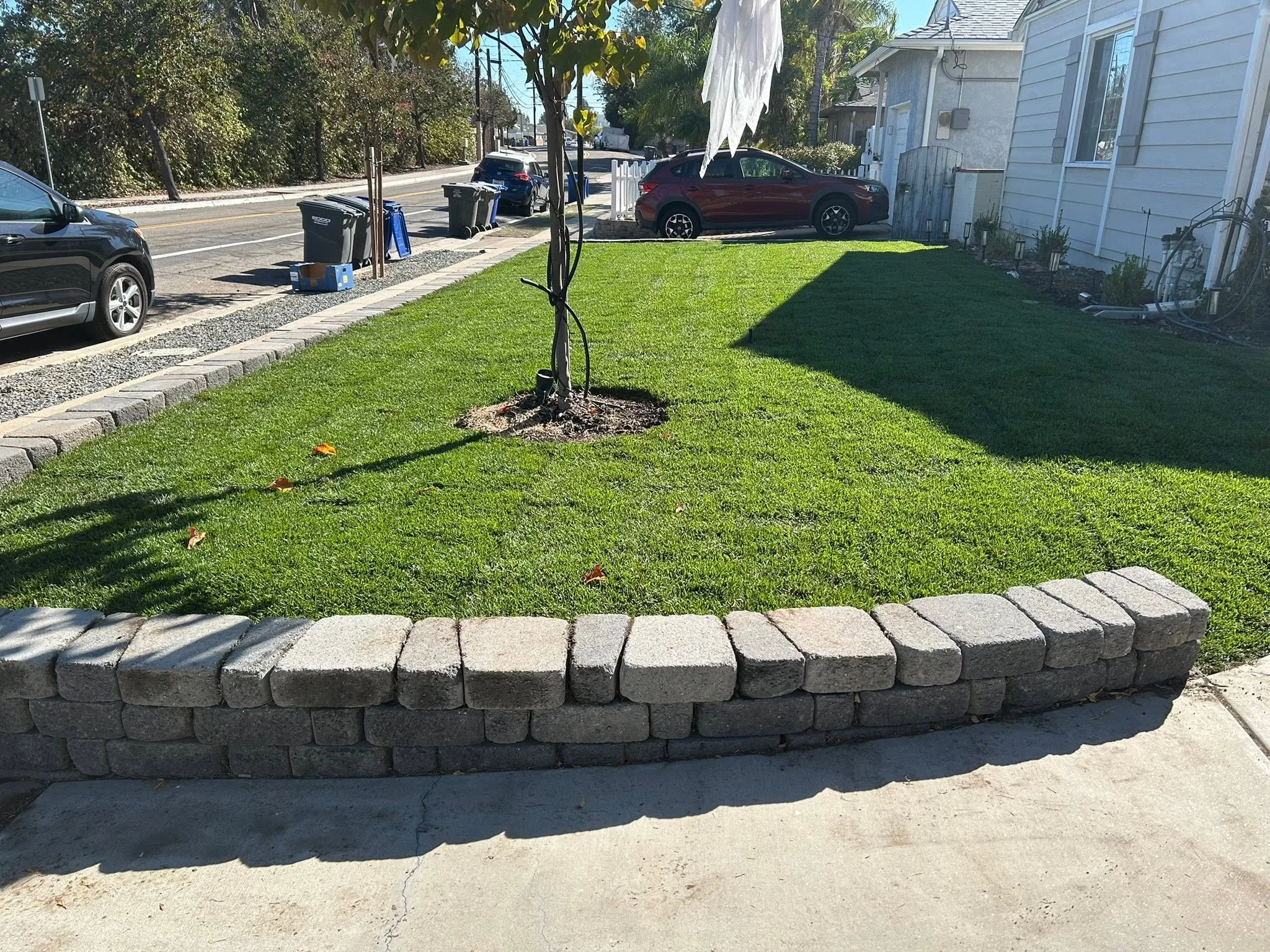 Curbside green lawn with block edging maintained by landscaping services in Chula Vista.